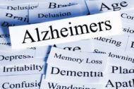 Alzheimers Paper Notes